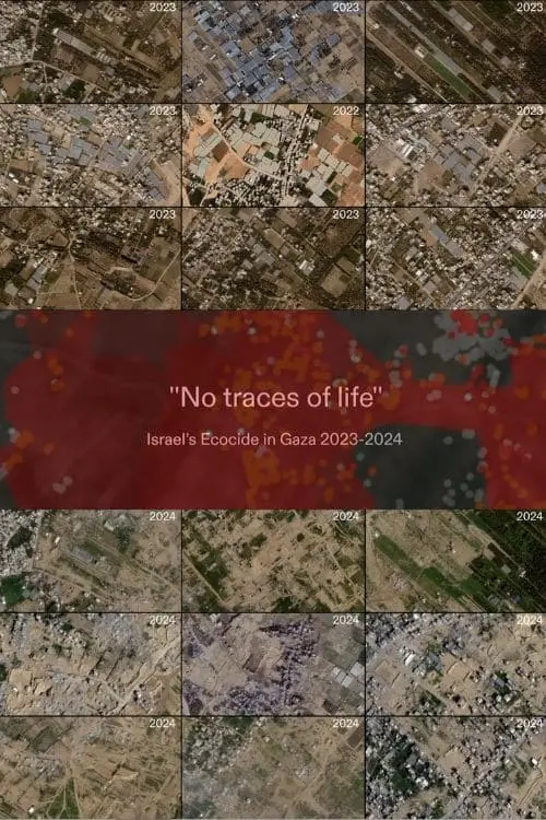 Постер до фільму "No Traces of Life"