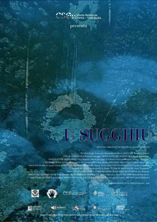 Постер до фільму "U Sugghiu"