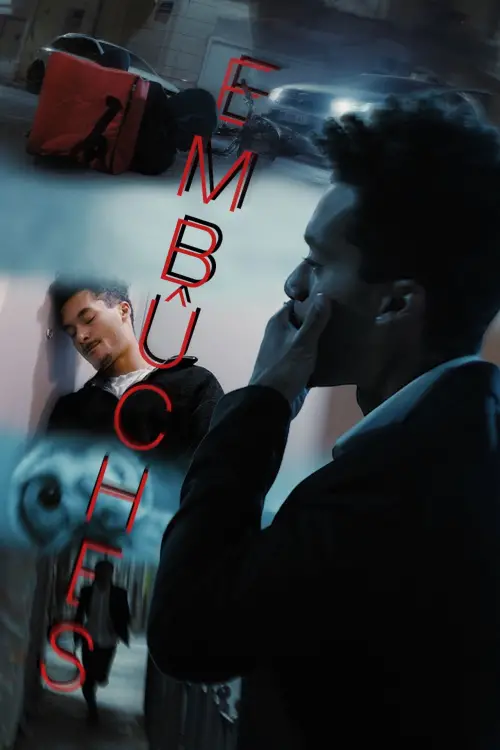 Постер до фільму "Embûches"