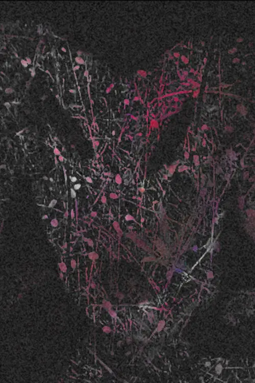 Постер до фільму "howtobakeacake"