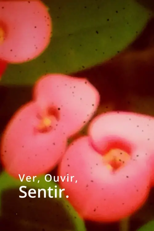Постер до фільму "Ver, Ouvir, Sentir."