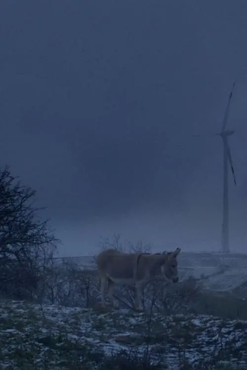 Постер до фільму "Mefite"