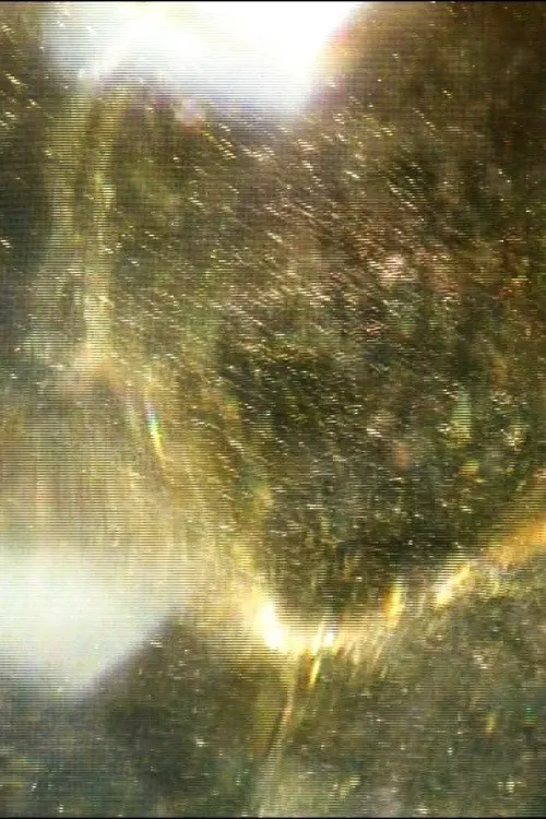 Постер до фільму "The Dithering Veil"