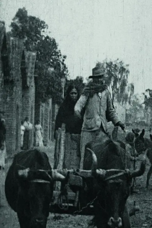 Постер до фільму "Plantation de sucre en Argentine"