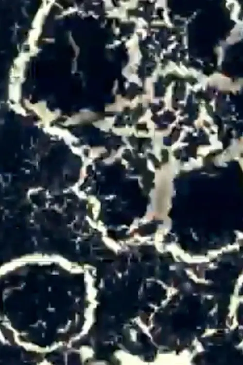 Постер до фільму "Test 1"