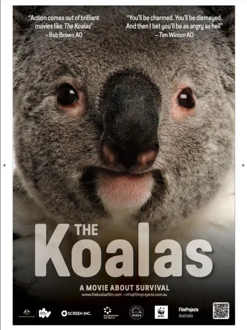 Постер до фільму "The Koalas"