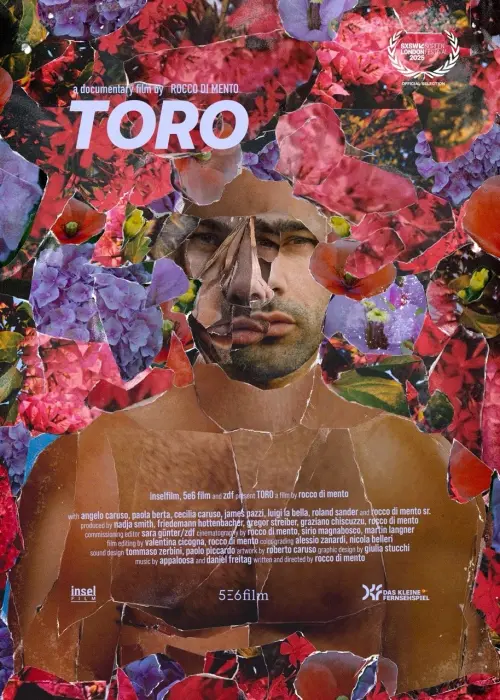 Постер до фільму "Toro"