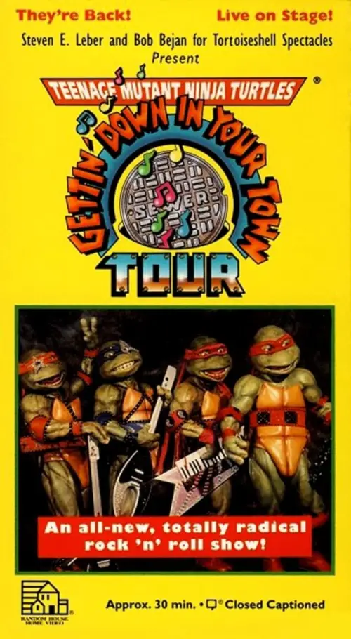 Постер до фільму "Teenage Mutant Ninja Turtles: Getting Down In Your Town"