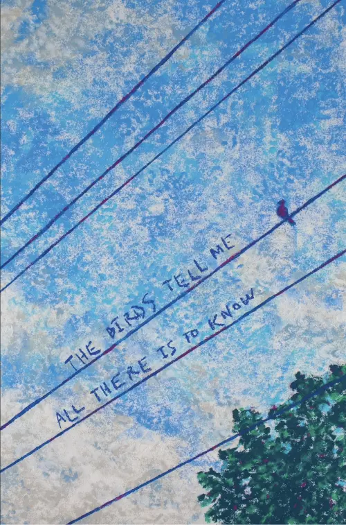 Постер до фільму "The Birds Tell Me All There Is To Know"