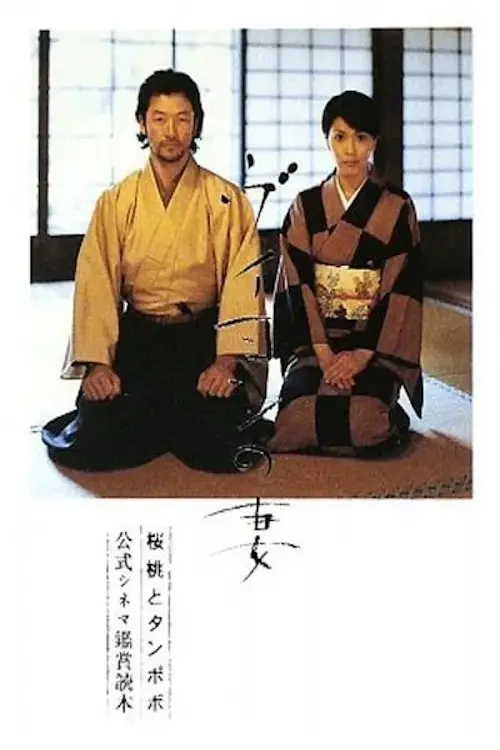 Постер до фільму "Villon