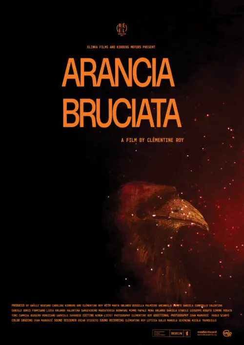 Постер до фільму "Arancia Bruciata"