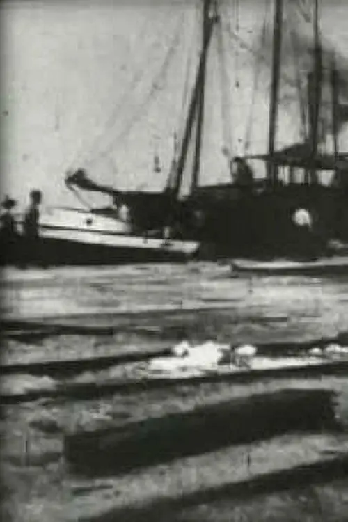 Постер до фільму "Bird