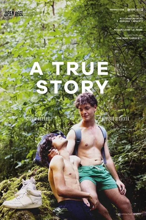Постер до фільму "A True Story"