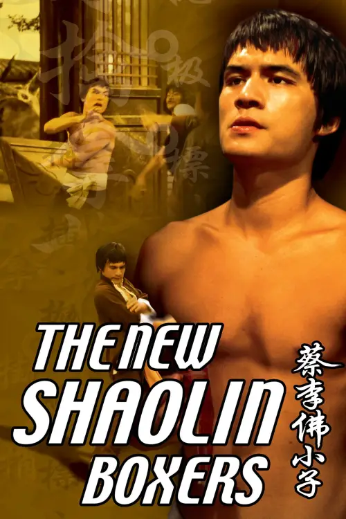 Постер до фільму "The New Shaolin Boxers"