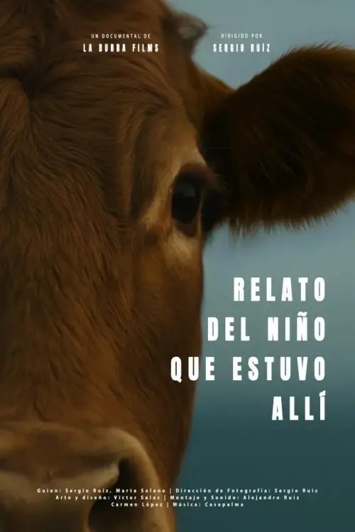 Постер до фільму "Relato del niño que estuvo allí"