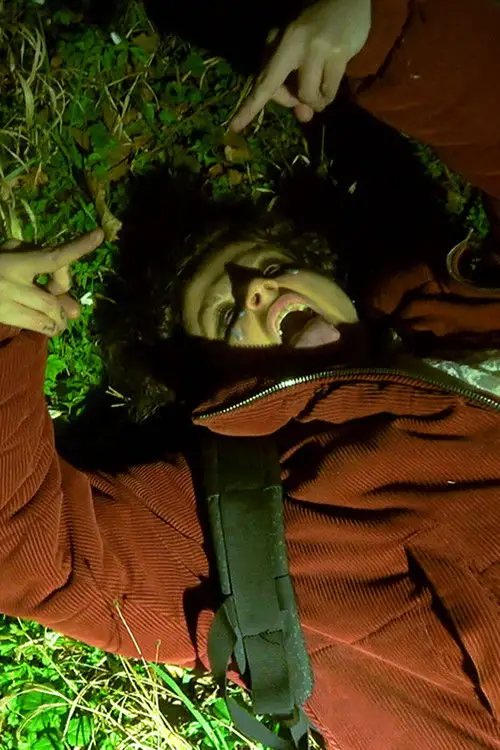 Постер до фільму "WOLFGANG"