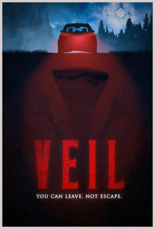 Постер до фільму "VEIL"