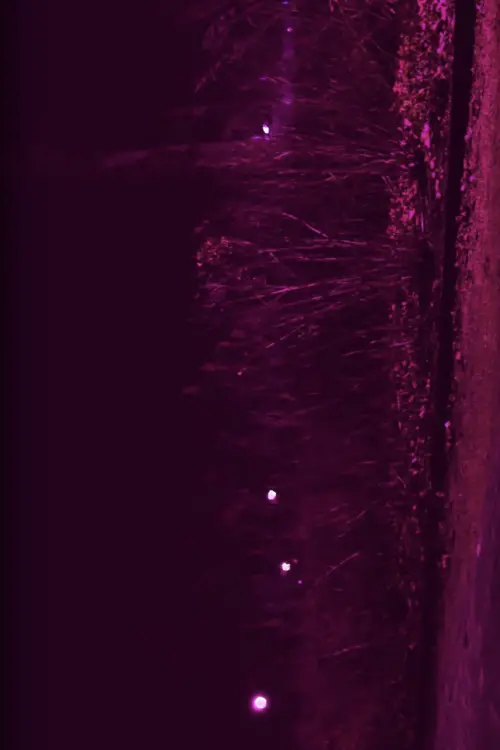 Постер до фільму "STARLIT"