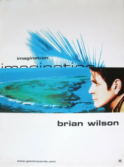 Постер до фільму "Brian Wilson’s Imagination"