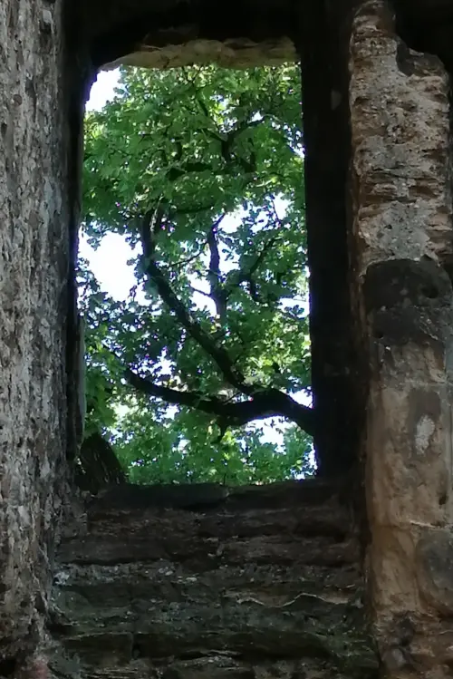 Постер до фільму "The Ruins of Seyssuel