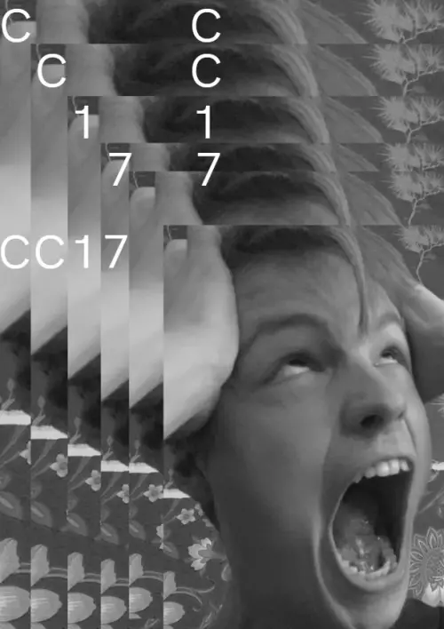 Постер до фільму "CC17"