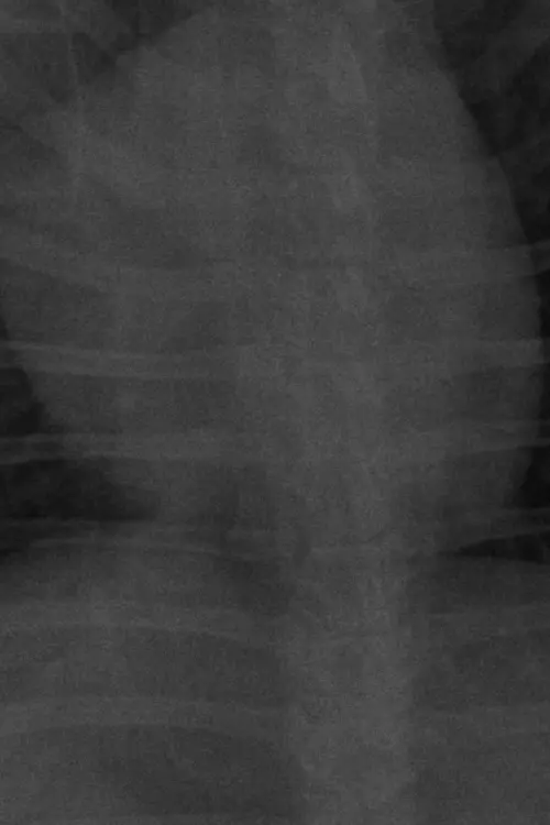 Постер до фільму "MI PEOR ENEMIGO."