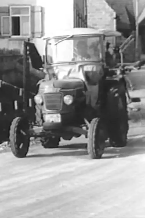 Постер до фільму "Ödenwaldstetten"