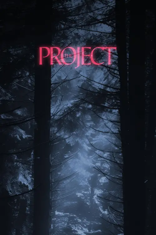 Постер до фільму "The Project"