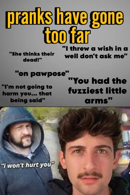 Постер до фільму "pranks have gone too far"