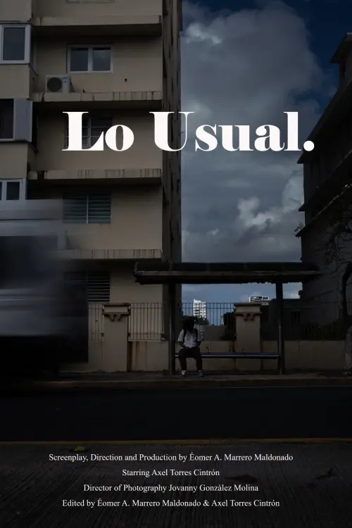 Постер до фільму "The Usual"