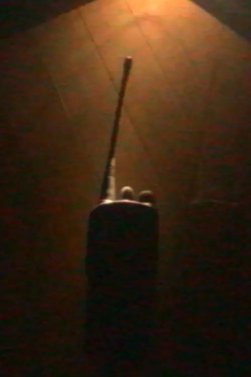 Постер до фільму "Desight"