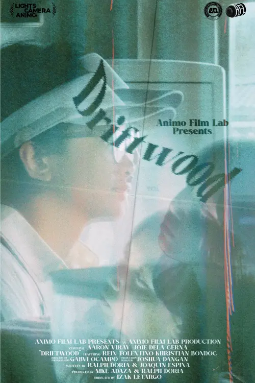 Постер до фільму "Driftwood"