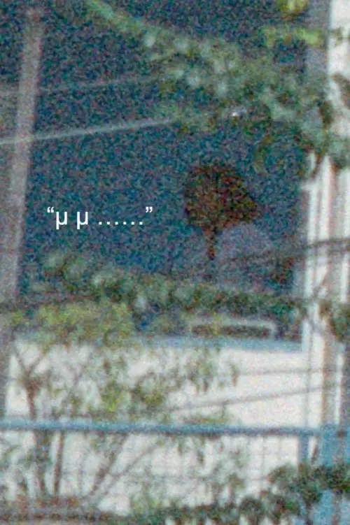 Постер до фільму "How to be a ghost in Bangkok?"