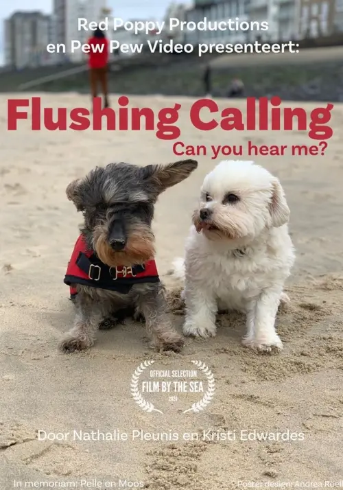 Постер до фільму "Flushing Calling, Can you hear me?"