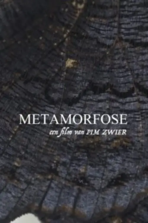 Постер до фільму "Metamorphosis"