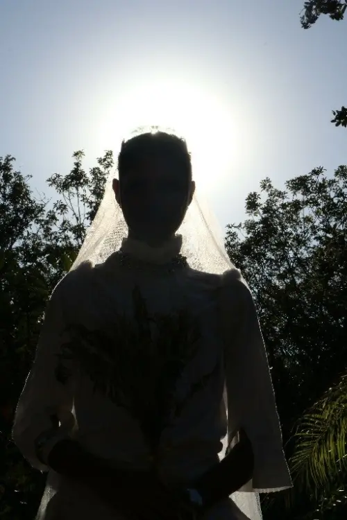 Постер до фільму "No peito do tigre"