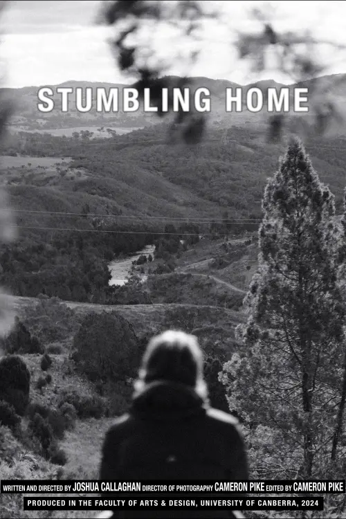 Постер до фільму "Stumbling Home"