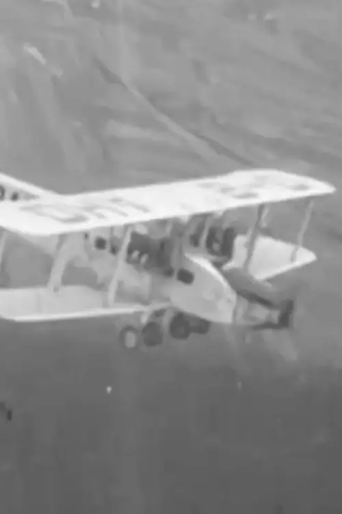 Постер до фільму "What We Said to Brussels Airlines"