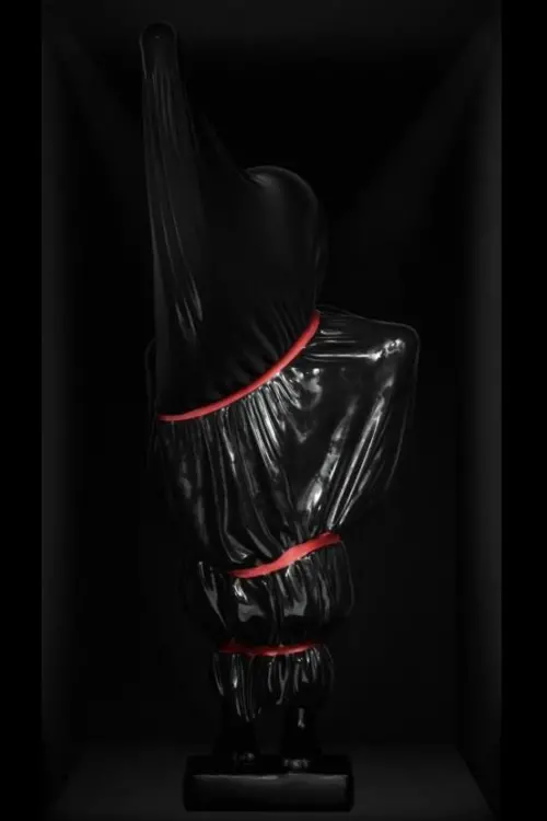 Постер до фільму "Rotting Figure"