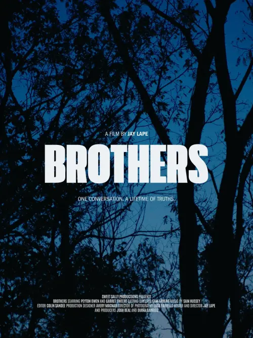 Постер до фільму "Brothers"