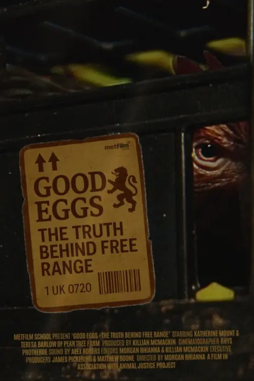 Постер до фільму "Good Eggs"