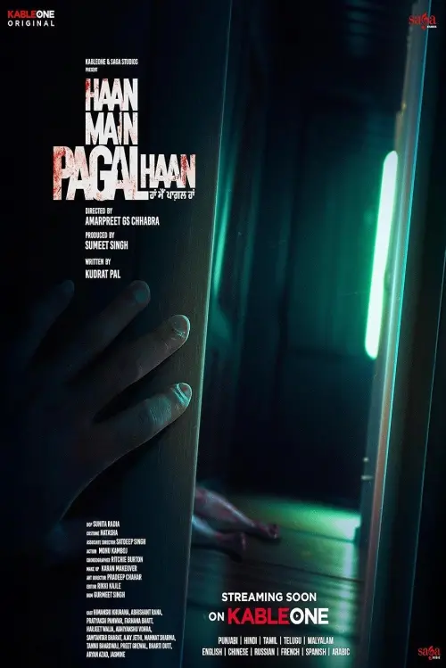 Постер до фільму "Haan Main Pagal Haan"