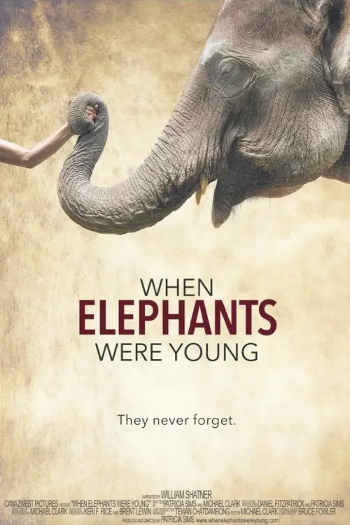 Постер до фільму "When Elephants Were Young"