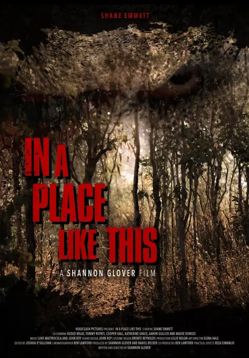 Постер до фільму "In A Place Like This"