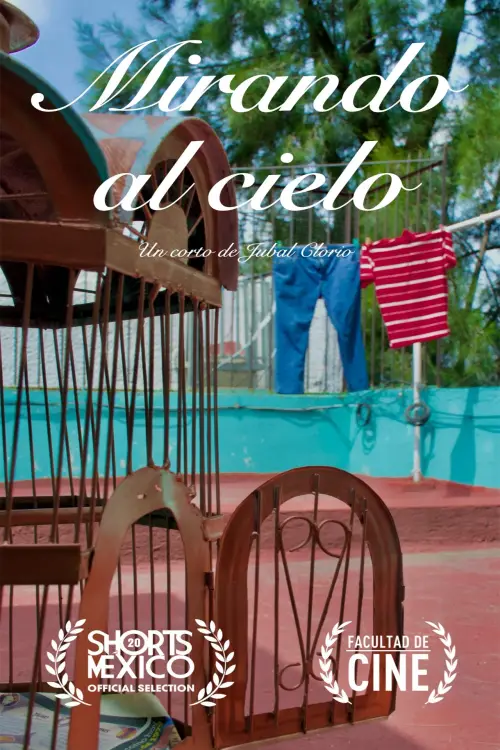 Постер до фільму "Mirando al Cielo"