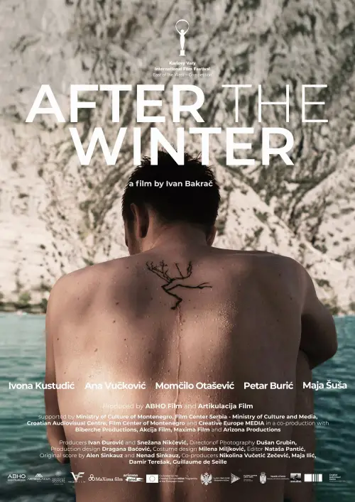Постер до фільму "After the Winter"