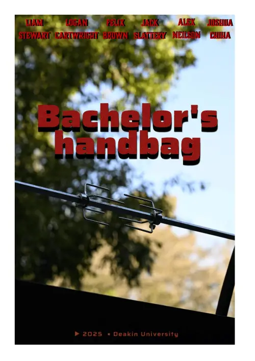 Постер до фільму "Bachelors Handbag"