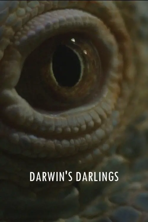 Постер до фільму "Darwin