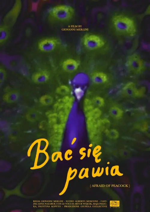 Постер до фільму "Afraid of Peacock"