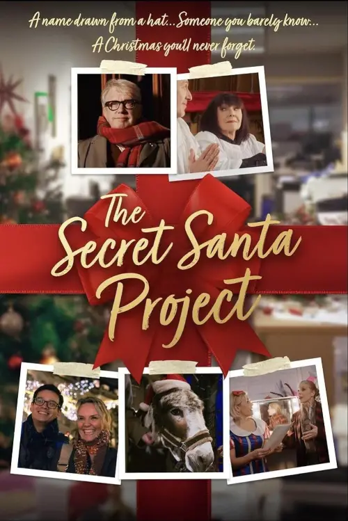 Постер до фільму "The Secret Santa Project"